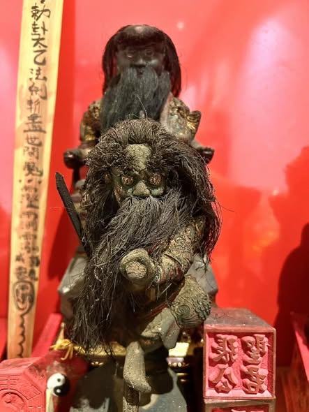 本宮簡介